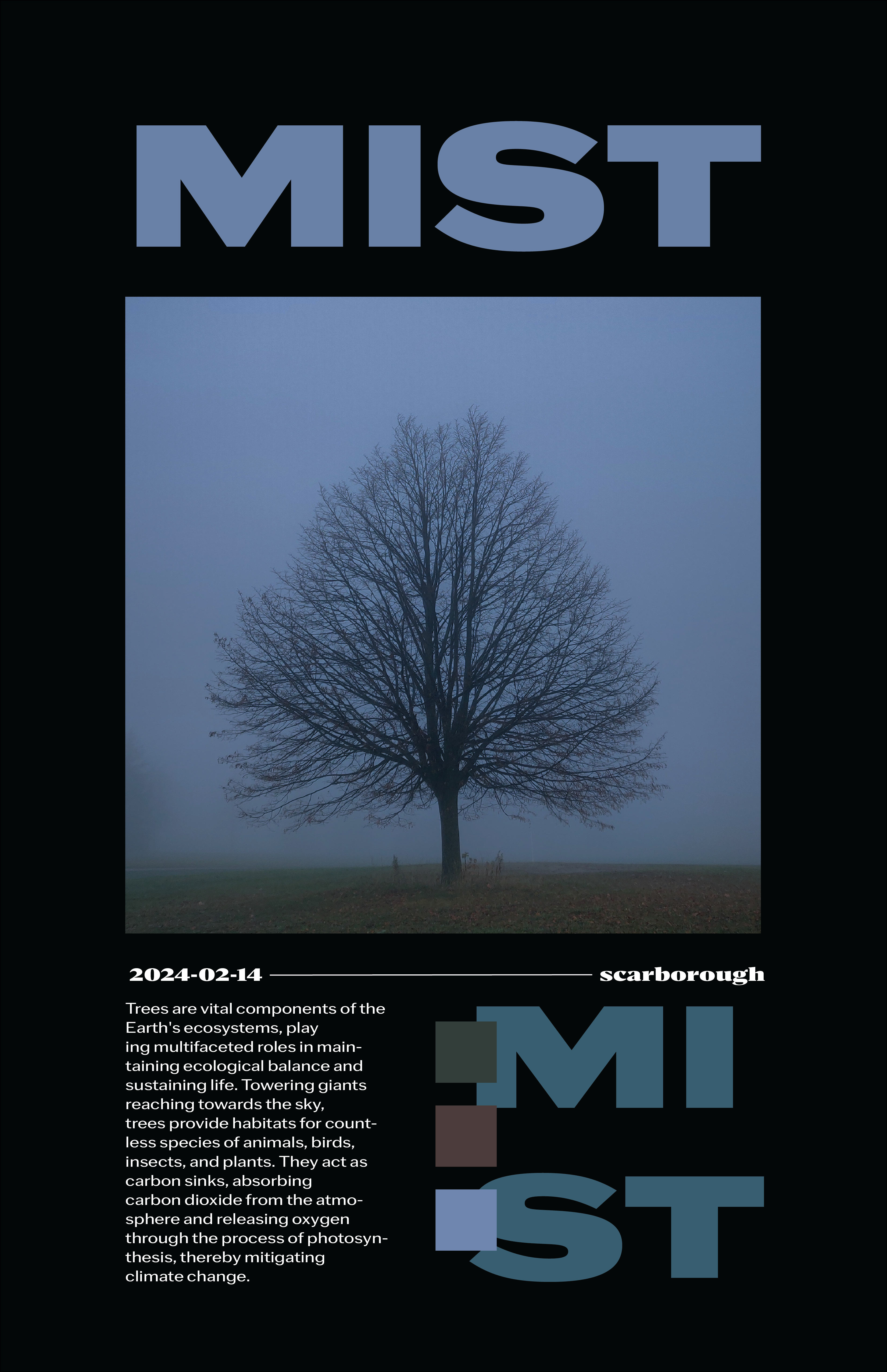 Mist poster